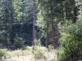 img 1406 o