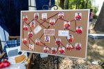 camp rockland  